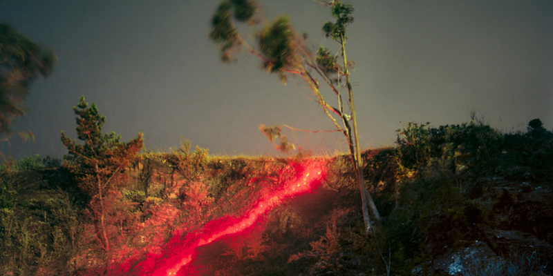 Illustration for article titled What Is The Meaning Of These Strange Glowing Shapes In The Wilderness?